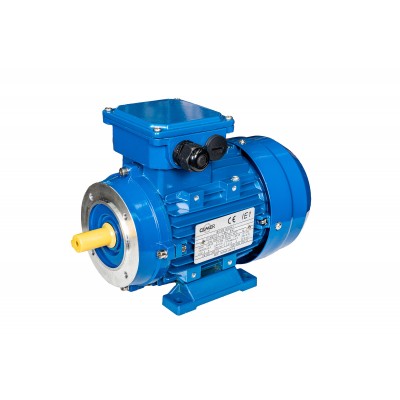 Motor electric 0,55 kw/3000rot/min, B34, monofazat 220V, trifazat 380 V, curent electric alternativ Motor electric 0,55 kw/3000rot/min, B34, monofazat 220V, trifazat 380 V, curent electric alternativ